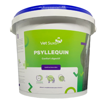 Psyllium cheval